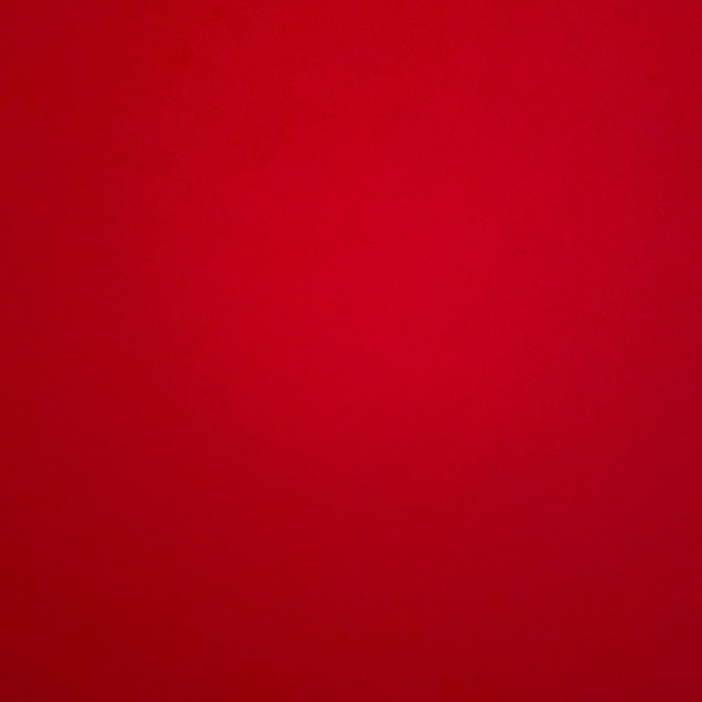 Meet your Posher, Carolina